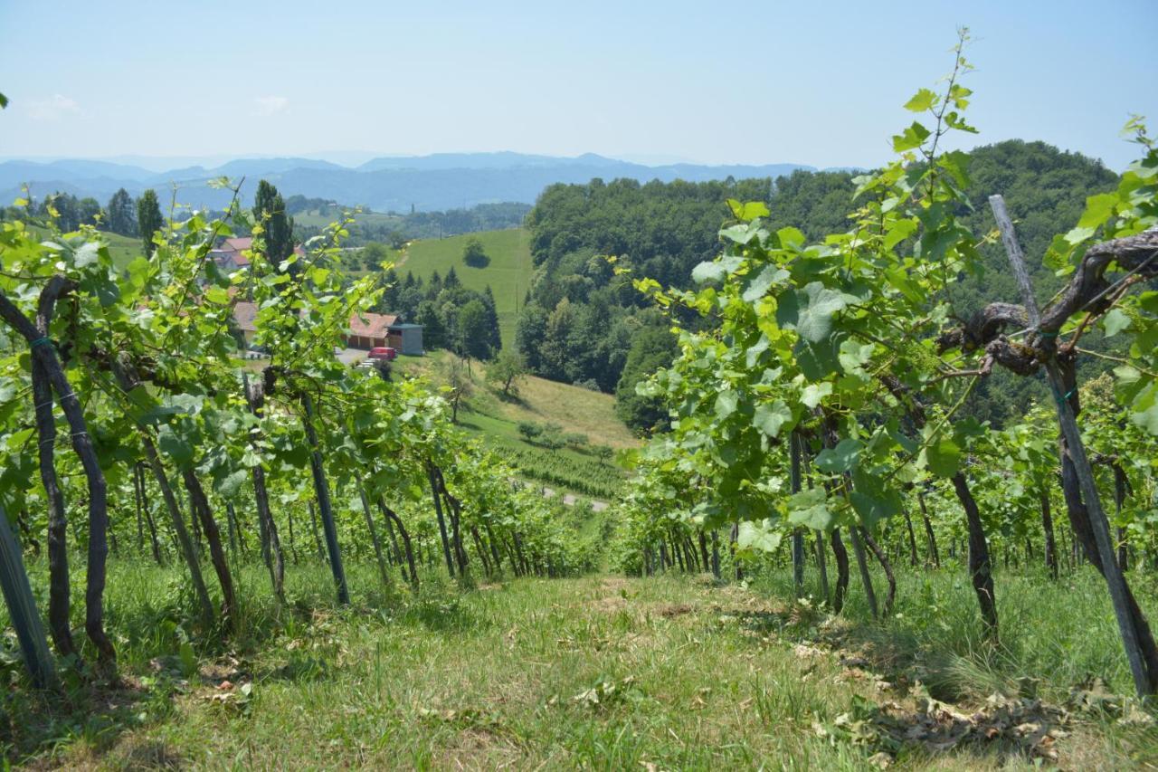 Weingut Pugl Leibnitz Exterior foto